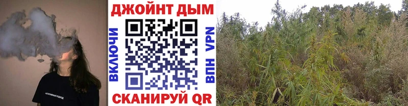 МАРИХУАНА сатива  Сольцы 